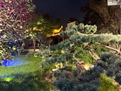 -九献创意菜·新中式(亮马河花园私宴店)