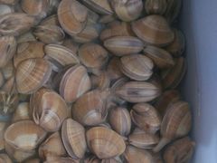 -宾朋海鲜特色美食餐厅·纯手工鲅鱼水饺(兴海路店)