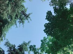 -洨河生态公园