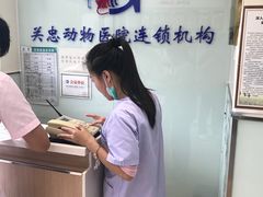 -瑞派·关忠动物医院·猫专科·犬专科(三环新城店)