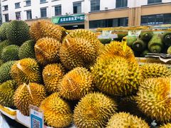 -三亚新鸿港水果一级批发市场