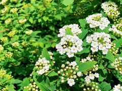 -秦皇岛野生动物园