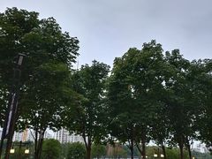 -木塔寺遗址生态公园