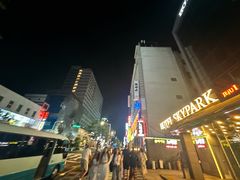 -宝健路步行街(Pedestrian Shopping Street)