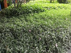 -119消防主题公园