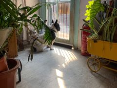 -小时光咖啡馆(北锣鼓巷店)