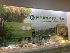 -辽宁古生物博物馆