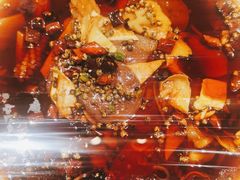 -鸽子窝(青塔店)