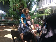 -Fern Forest Cafe