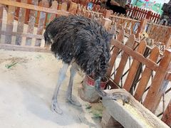 -华夏文旅海洋公园