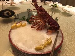 -桃源春晓中餐厅 TaoYuan Restaurant