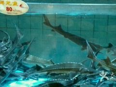 -快乐海鲜酒楼(滇池路店)