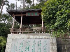 -千岛湖东南湖区