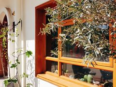 -AHAVA·Fang Baking Studio