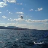 打卡海参崴[胜利]