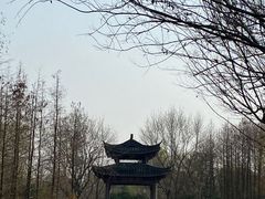 -梁鸿国家湿地公园