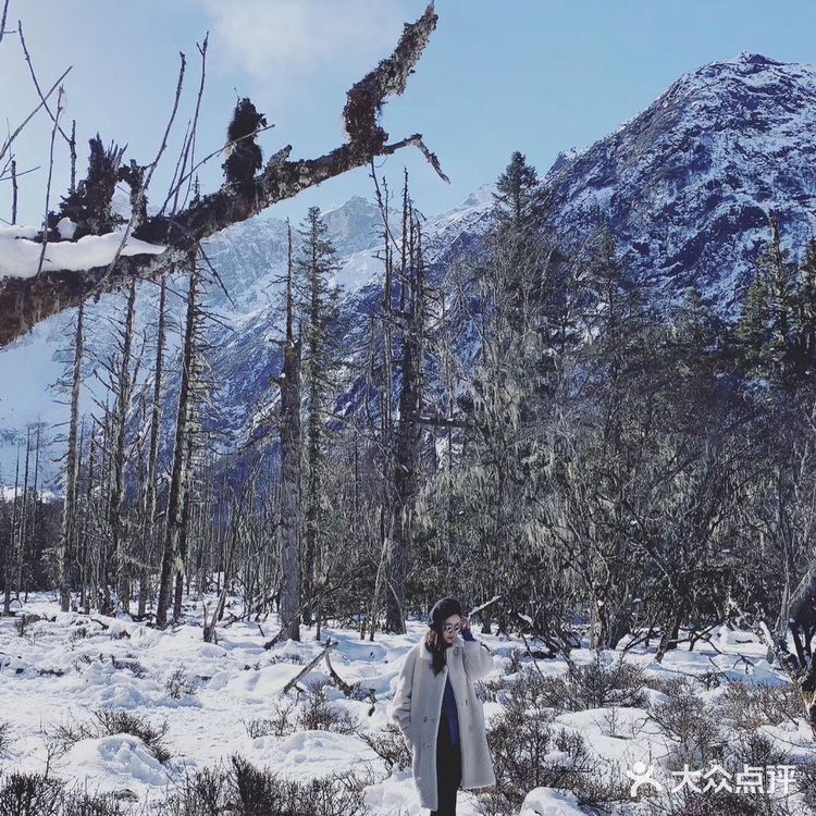 雪中泡温泉|古尔沟华美达温泉酒店