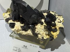 -湖南省地质博物馆