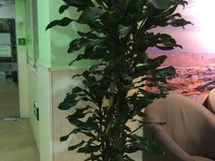 -学知乐教育·幼小衔接·小学科辅导(嘉定镇校区)