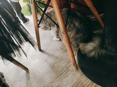 -小时光咖啡馆(北锣鼓巷店)