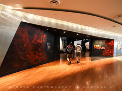 -墨尔本博物馆(Melbourne Museum)