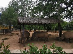 -西安秦岭野生动物园
