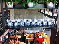 -了不起的考拉咖啡店(高新店)