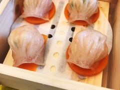 -皇马假日醉海南大酒店·假日一品派茶楼(秀英店)