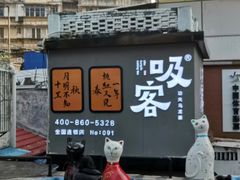 -猫咪博物馆(顶澳仔猫街店)