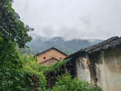 -阳产土楼