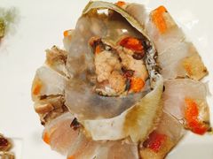 -骏莱海鲜鱼港(五角场店)
