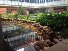 -香港大学