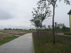 -歌斐颂巧克力小镇