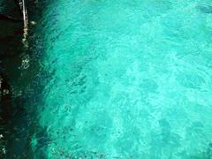 -东姑阿都拉曼海洋公园