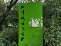 -西湖风景区-江洋畈生态公园