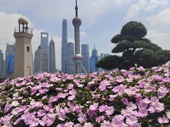 -北外滩滨江绿地