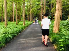 -上海怡沁园度假酒店