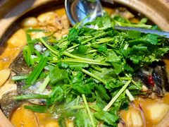 -九道菜有鸡鱼头(石鼓路店)