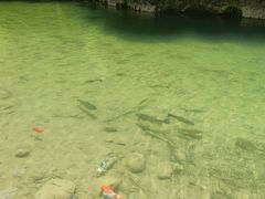 -郧西五龙河风景区