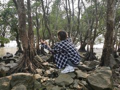 -宝安西湾红树林湿地公园