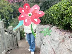 -重庆彩云湖湿地公园