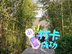 -竹子庵公园