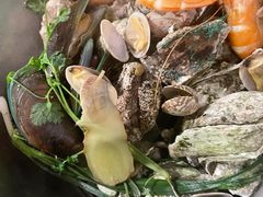 -土蚝·高压锅生蚝(百姓美食街店)