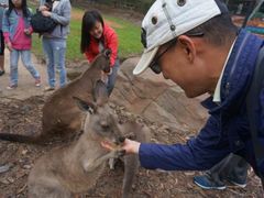 -费瑟代尔野生动物园