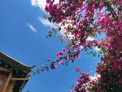 -小红帽摄影(丽江店)