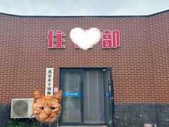 -派美特宠物医院·核磁CT·骨科肿瘤·疑难转诊(沈农禾丰店)