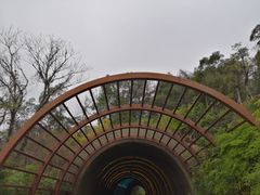 -福道