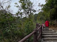 -广州白江湖森林公园