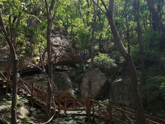 -大岭沟猕猴桃谷风景区