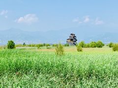 -野鸭湖国家湿地公园